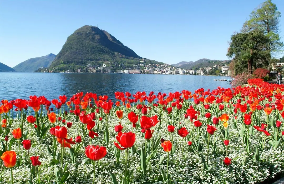 Villa Brebycri Amazing View - Happy Rentals-1